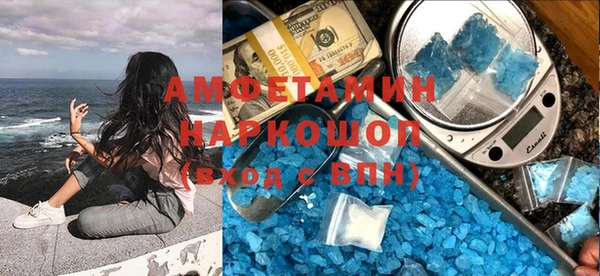 шишки Белая Холуница