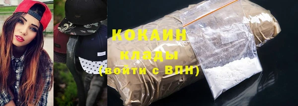 шишки Белая Холуница