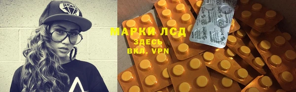 шишки Белая Холуница