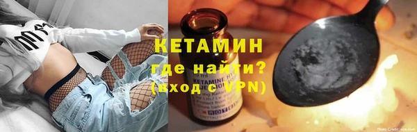 шишки Белая Холуница