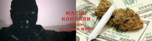 шишки Белая Холуница