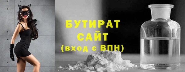 шишки Белая Холуница
