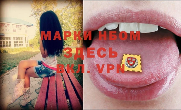 шишки Белая Холуница