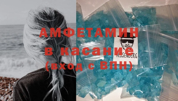 шишки Белая Холуница