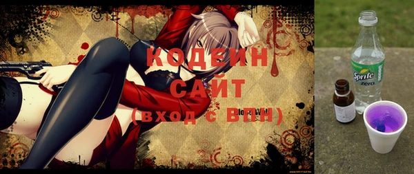 шишки Белая Холуница