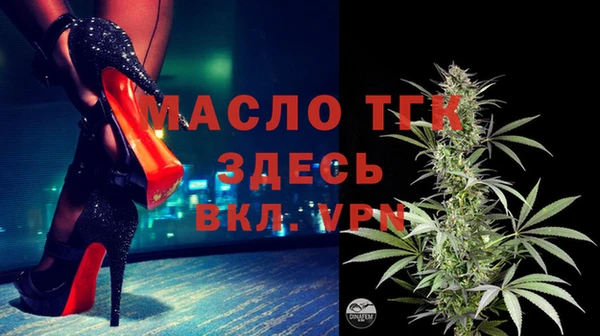 шишки Белая Холуница