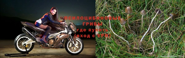 винт Бежецк