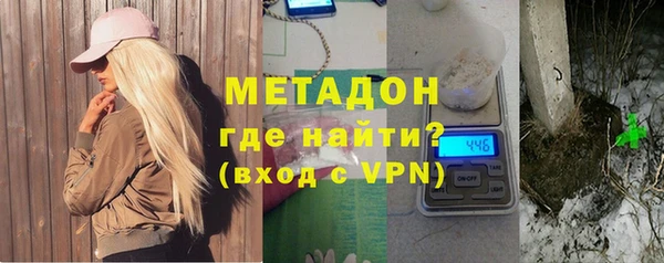 шишки Белая Холуница
