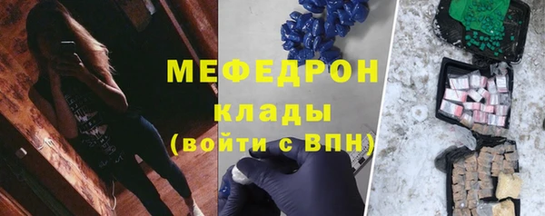 шишки Белая Холуница