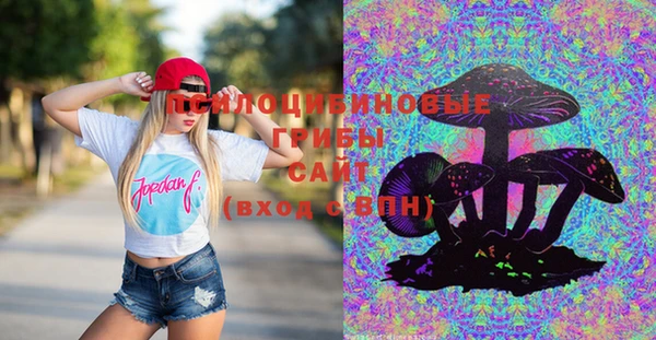 винт Бежецк