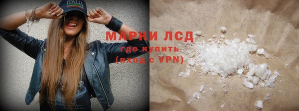 шишки Белая Холуница