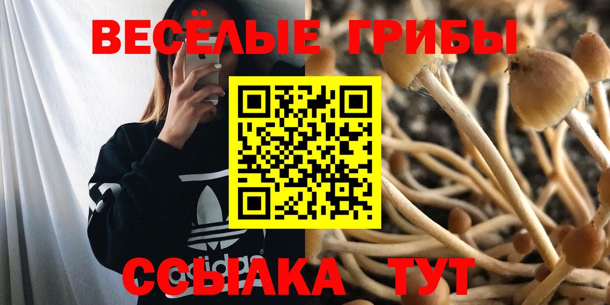 Великий Устюг  Галлюциногенные грибы прущие грибы  Псилоцибиновые грибы прущие грибы  Вход с VPN 