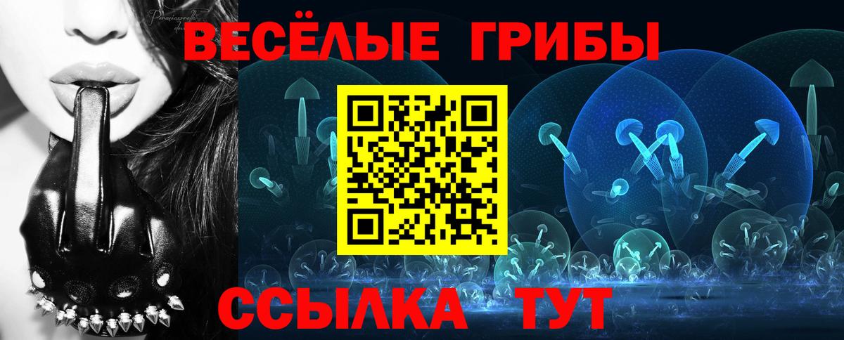 Псилоцибиновые грибы MAGIC MUSHROOMS Великий Устюг