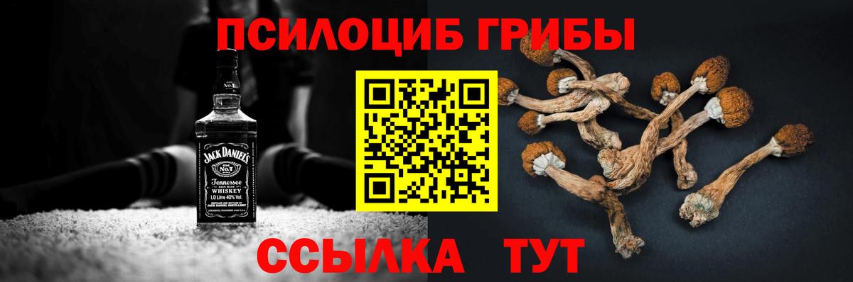 КОКАИН Великий Устюг