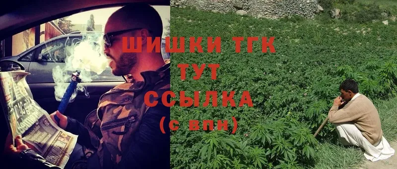 Бошки Шишки марихуана  Великий Устюг 